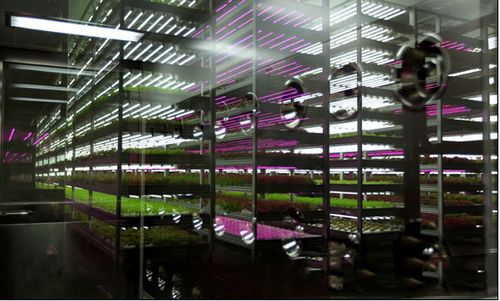 科技賦能，綠色未來 2018中國國際植物工廠及農業照明博覽會即將在滬開幕